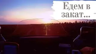 Едем в закат. Honda STEED. Поле с подсолнухами.