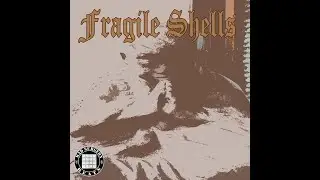 l@@k FRAGILE SHELLS  BEAT PRODUCED BY MAD SURGEON