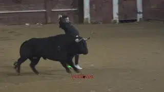 Ciudad Rodrigo 2024  Capea del lunes, Los Bayones