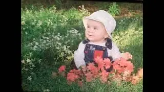 Baby bean