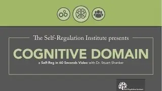 The Cognitive Domain | Self Regulation Institute with Dr. Stuart Shanker