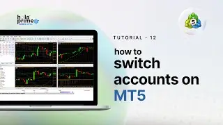 How to Switch Trading Accounts on MT5 &ndash; Quick & Easy | Hola Prime