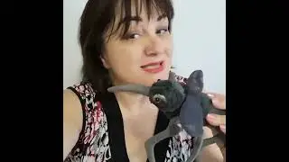 339. Вирус Зика - важное предостережение @DrOlenaB