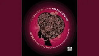 Never Give You Up (Jihad Muhammad BTD Remix) (feat. Beverlei Brown)