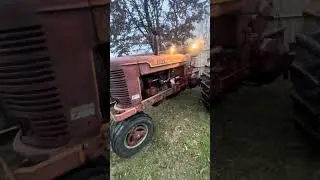 Farmall M purring #farmall