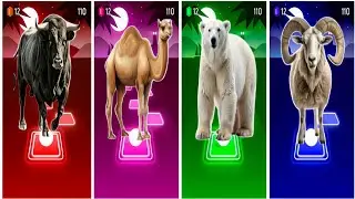 🐃Funny Buffalo 🆚🐪Funny Camel 🆚🐼 Funny Polar 🆚🐐Funny Deer 🎶 Coffin Dance Song Tiles Hop EDM Rush