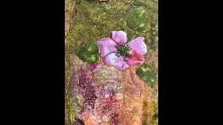 The Bee Book Collage Book 1by Caroline Sharkey