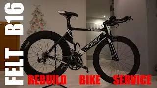 FELT B16 Build Bike