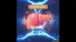 BELIXZ LIVCORE FUNCTIONING