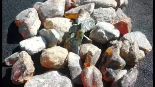 Mexican Amber gems amberminemexico.mx