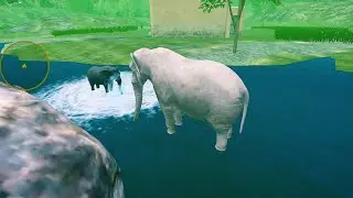 🟧🟦 Elephant Family Simulator|| #elephant #elephantgames #cartoonforkids #cartoon #cartoongame