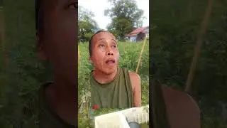 punta kayo sa bahay mga lodi #nature #garden #farming #music #farmlifebestlife #shortvideo