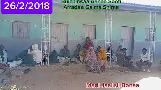 Marii Jaaliisii boonaa 