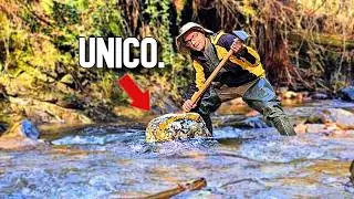 Quanto Oro Ho Trovato?! 🏆 La febbre dell'Oro [Ep.8 S.4]