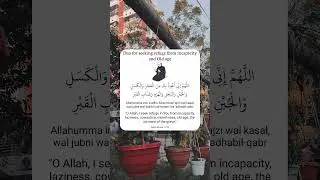 Dua for seeking refuge from incapacity and Old age