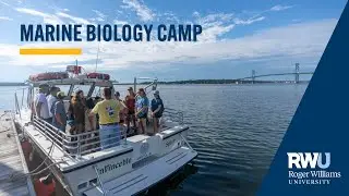 Marine Biology Summer Camp at Roger Williams University