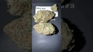 Cherry Kush