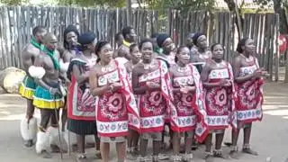 Swaziland  Lobamba 14 Mantenga Cultural Village  Dancing and singing  Tribe  Last gospel song  2016
