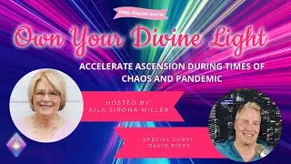 David Rippy Interview - Own Your Divine Light Show Season 4