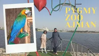 Pygmy Zoo Ajman | Al Zorah Marina 1| Nenas Media