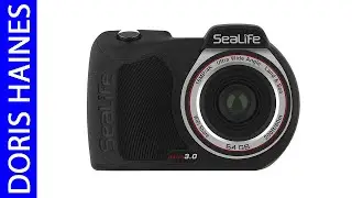 Best Waterproof Cameras 2026 - Top 5