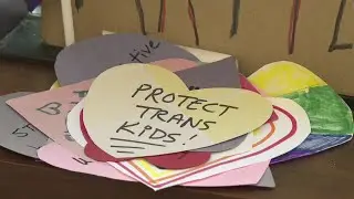 Idaho's transgender care ban for minors stands after Supreme Court ruling on Tennessee law
