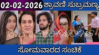 02nd February Shravani Subramanya Kannada Serial Episode Review|Zee Kannada