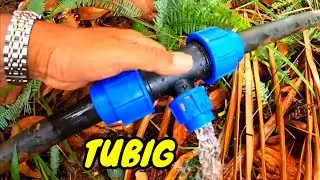 P6 - MAY TUBIG NA SA ATING FARM - EP62
