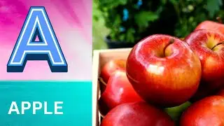 ABC Phonics Song | Alphabet letter sounds | ABC learning for toddlers | Education ABC Nursery Rhymes