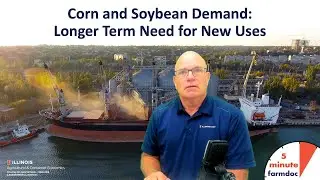Corn and Soybean Demand: Longer Term Need for New Uses