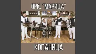 Копаница
