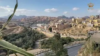 جمعيات ومبادرات شبابية من وادي موسى - البترا