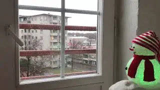 Vammaisoikeuksien valitusvapaan julistus Suomen Turusta 23.12.2017