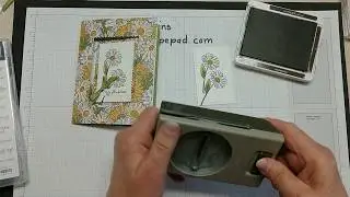 Ornate Garden Specialty Fun Fold Card