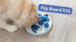 Flip Board XXL - Extra large dog game by Trixie Heimtierbedarf