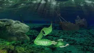 Mermaid Queen
