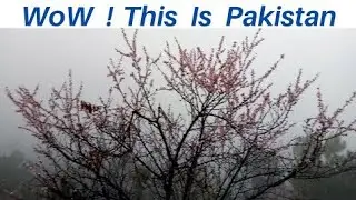 This Is Pakistan Buner KPK Vlogs