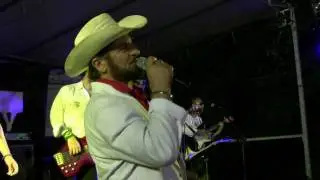 Ringo story O mia chitarra