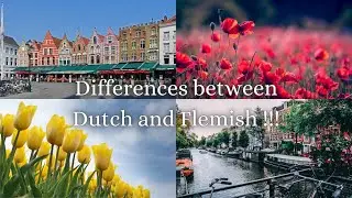 Dutch and Flemish ! What are the differences ? (same same but different :))