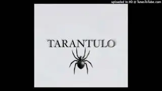 TARANTULO- v hlave teror