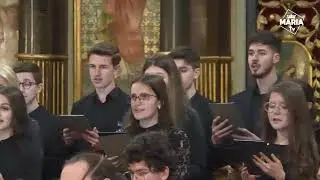 Concertul Pascal al Facultății de Arte din Oradea - 14 aprilie 2025