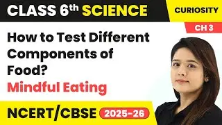 How to Test Different Components of Food - Mindful Eating | Class 6 Science (Curiosity) Ch 3 | CBSE