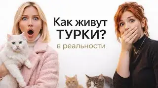 НОВОСЕЛЬЕ В СТАМБУЛЕ‼️В гостях у лучшей подруги! 🏠 Как живут в Турции?