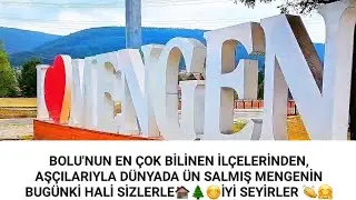 Türkiyemizin en güzel aşçılarının yetiştiği bolu mengen🏚🌲😋🤗