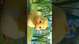 five little ducks(0)colour learning, counting #baby #viral #art #rhymes #cute #babyart #cartoon#tots