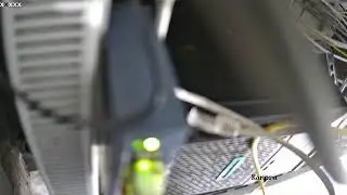 Ana Live Stream
