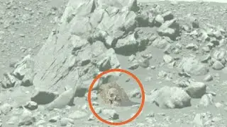 New Images Of Mars Sol 846 : Curiosity Rover Update 2023 : Mars Perseverance Rover Explore