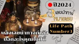 💡หมายเลขนำทาง เลข 3( Life Path Number 3 ) คนที่มีหมายเลขนำทางเลข 3 กำลังบอกอะไรในปี#2024 #tarot