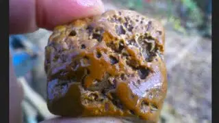 Rock Hunt Marathon &bull; Winter Fossils, Leaf Imprints & Hidden Creek Treasures