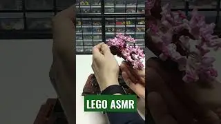 LEGO BONSAI ASMR #lego #legoset #legoasmr